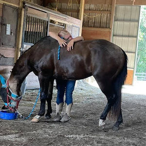 Meet your Posher, Carli